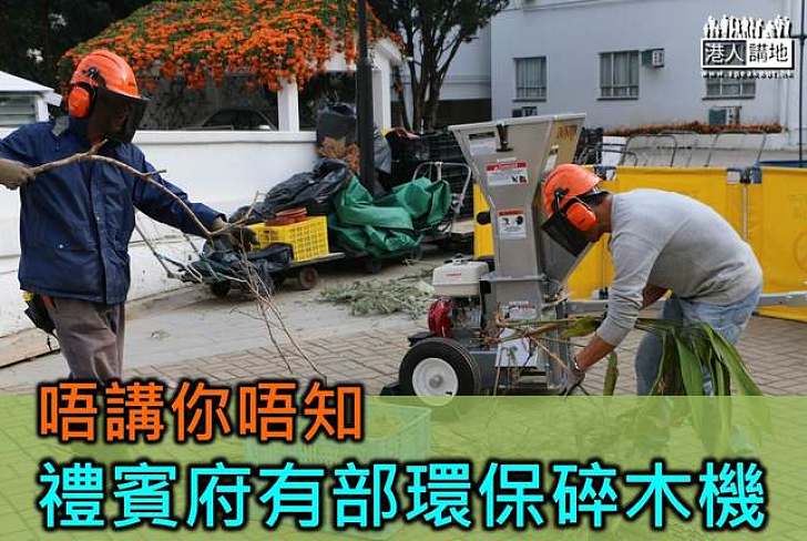 除咗賞花 禮賓府仲有其他嘢睇!